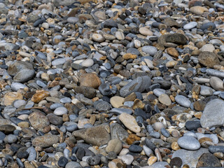 Meer