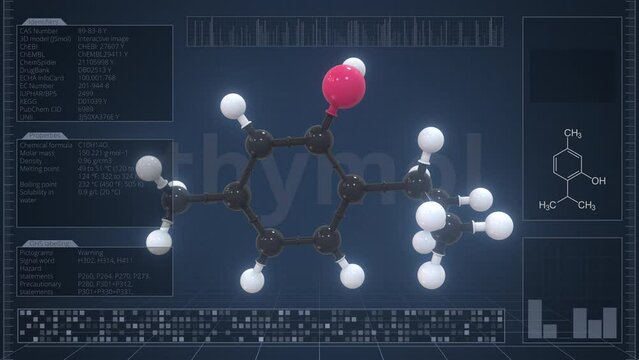 Molecule of thymol with infographics on the computer monitor, loopable 3d animation