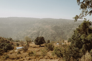 indian wedding decor