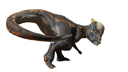 Pachycephalosaurus, dinosaur from the Late Cretaceous period, isolated on white background © dottedyeti