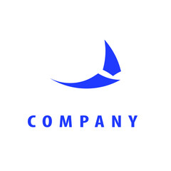 blue company design