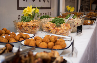 Finger Buffet Catering Food for Birthday or Wedding Reception Party