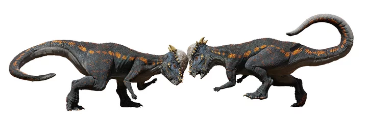 Afwasbaar Fotobehang Dinosaurus Pachycephalosaurus, head-butting dinosaurs from the Late Cretaceous period, isolated on white background