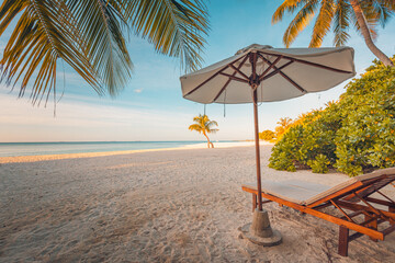 Beautiful tropical beach banner. White sand and coco palms travel tourism wide panorama background concept. Amazing beach landscape. Wonderful beach scenery, palm leaves and sun beds with sea view