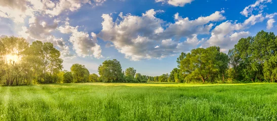  Idyllic mountain panoramic landscape. Fresh green meadows and blooming wildflowers, sun ray. Beautiful nature countryside view, rural sunny outdoor natural. Bright banner nature spring summer panorama © icemanphotos