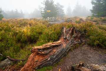View of the mountain trail during wet autumn weather