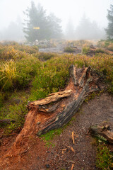 View of the mountain trail during wet autumn weather