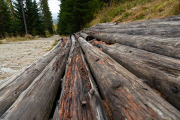 A view of the hardened hiking trail and next to it there are logs of wood