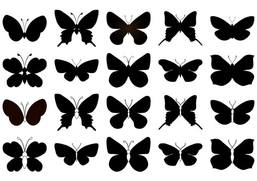 Set of outline silhouette insect butterflies. Decorative design.