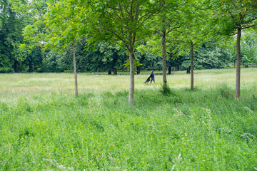 Parc de la T&ecirc;te d'Or (park head gold) in Lyon, France. 2020