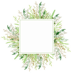 Watercolor green grass border frame, wild meadow herbal greenery illustration, cereal wild plants, floral hand drawn spring summer natural herbs isolated on white background with copy space for text