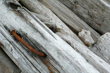 rusty nail in driftwood