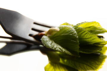 green leaves on forks close up,vegan food, food