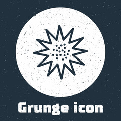 Grunge line Sea urchin icon isolated on grey background. Monochrome vintage drawing. Vector.