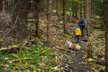 During the autumn, my mother and her little son go on a mountain trail. They are accompanied by a dog.