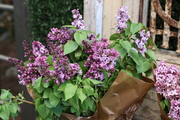 lilac bouquets