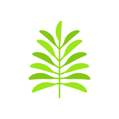 tropical Leaves graphic design vector