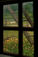 wooden window overlooking the garden and an old wooden ladder