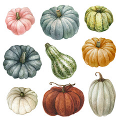 Watercolor pumpkin collection.Autumn harvest.Thanksgiving decor,Fall harvest,autumn squash,vegetables, country farmhouse garden.