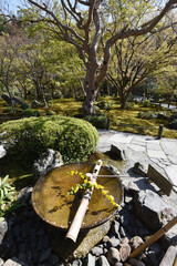 春の円光寺　京都市左京区一乗寺