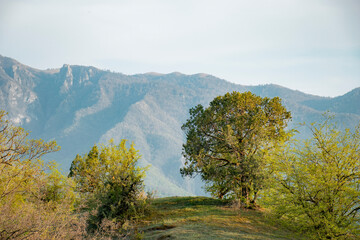 beautiful autumn in the mountains