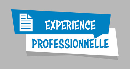 Logo expérience professionnelle.