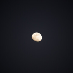 Waxing Gibbos Moon in the night sky