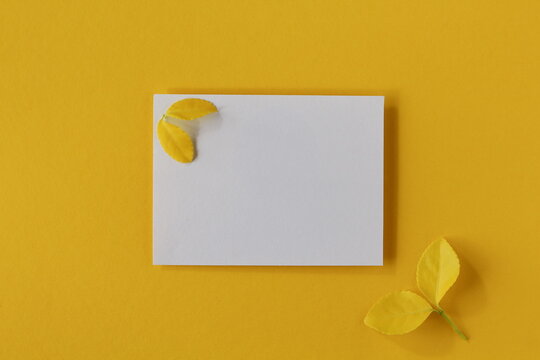 Minimalist summer concept with little yellow leaves, invitation with free space for text or yellow sunny summer wallpaper, flat lay / top view.