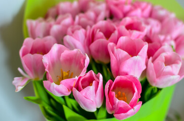 Tulips flowers bouquet with pink tulips in green paper