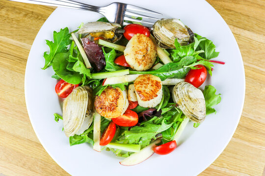 Apple Salad with Littleneck Clams & Scallops