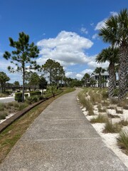 Fototapeta premium Walkway at St. Joseph Bay in Port St. Joe Florida 