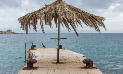 Bird sat on the end of a concrete peir near a palm umbrella