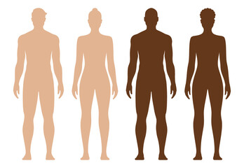 White and black male and female body silhouette. Male and female anatomical body vector illustration, isolated on background.