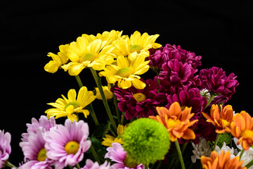 field flower arrangement photographed on black background