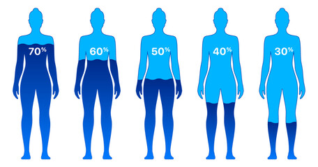 Female body with different water level percentages, isolated on white background. Woman body water composition vector illustration.