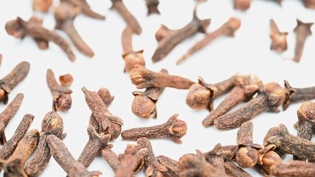 angle view herb DingXiang or Caryophylli Flos or Clove rotating