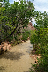  Zion National Park in the Middle of a sunny Spring Day