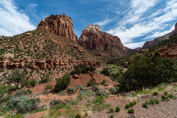 Fototapeta premium Zion National Park in the Middle of a sunny Spring Day