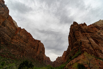  Angel's Landing at Zion National Park in the Middle of a sunny Spring Day