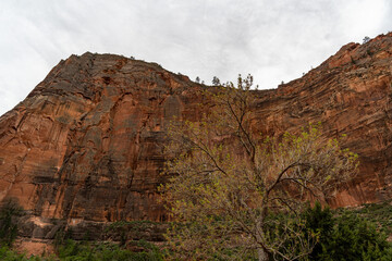  Angel's Landing at Zion National Park in the Middle of a sunny Spring Day