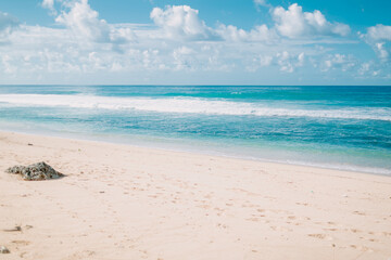 Fototapeta na wymiar Tropical sandy beach and blue ocean