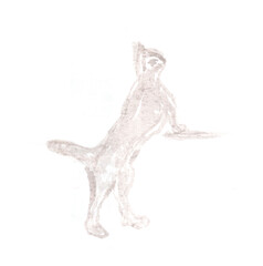 Cute cat, pet. Animal. Watercolor sepia, art decoration, sketch. Illustration hand drawn modern