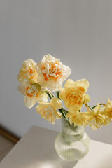 Spring flowers of daffodils in a vase