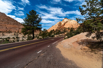 Zion Park Road at Zion National Park in the Middle of a sunny Spring Day