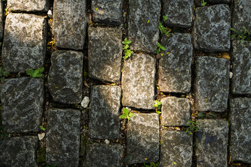 Concrete cobblestone floor texture with greenery