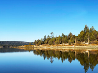 calm forest lake morning reflections clear blue sky mirror reflection shoreline mountains lakeside water edge