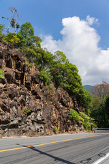 A sheer cliff with trees growing on it next to the road.