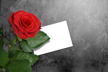 Valentines day concept. White greeting card with red rose flowers bouquet and gift box on stone table