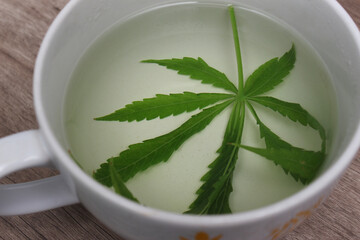 Cannabis leaf tea (or marijuana leaf) is a new alternative. that are beneficial to health serve with clay cups.