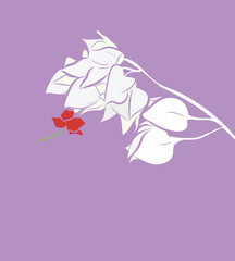 Beautiful floral white flower in abstract flat vector art